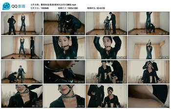 【撒琅制造】谍战II重制无水印无删版