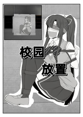 【会员免费】校园放置